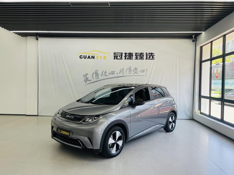 BYD Dolphin, 2023 — купить в Туле под ключ