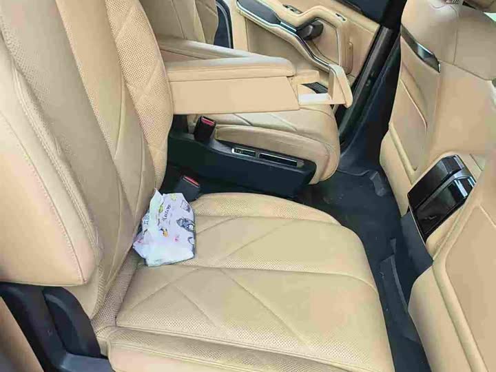 BYD FangChengBao Leopard 8, 2024 — фото 5 из 5