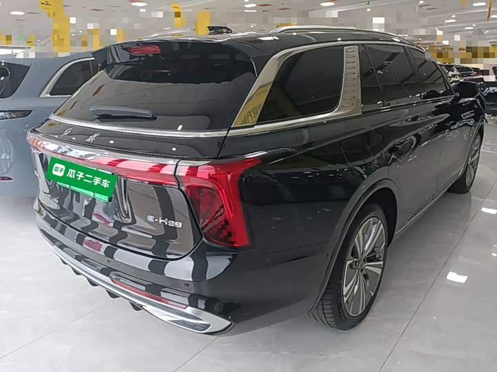 Hongqi E-HS9, 2023 — фото 7 из 9