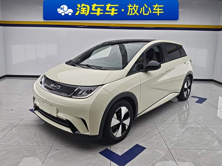 BYD Dolphin, 2023 — купить в Владимире под ключ