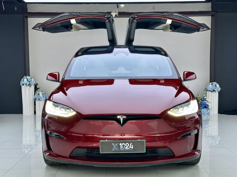 Tesla Model X, 2023 — фото 2 из 12