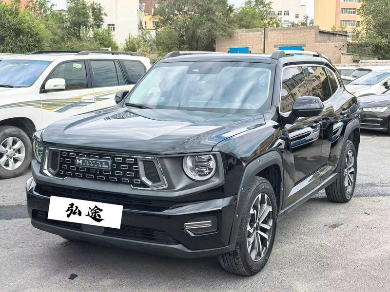 Haval H-Dog, 2023 — купить в Рязани под ключ