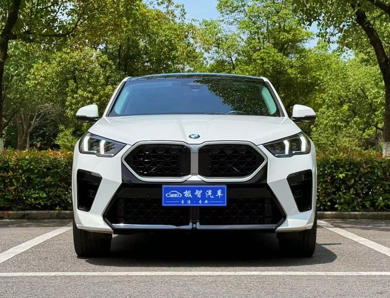 BMW X2, 2024 — фото 2 из 12