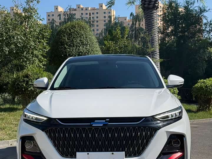 Changan Oshan X7 Plus, 2023 — фото 2 из 9