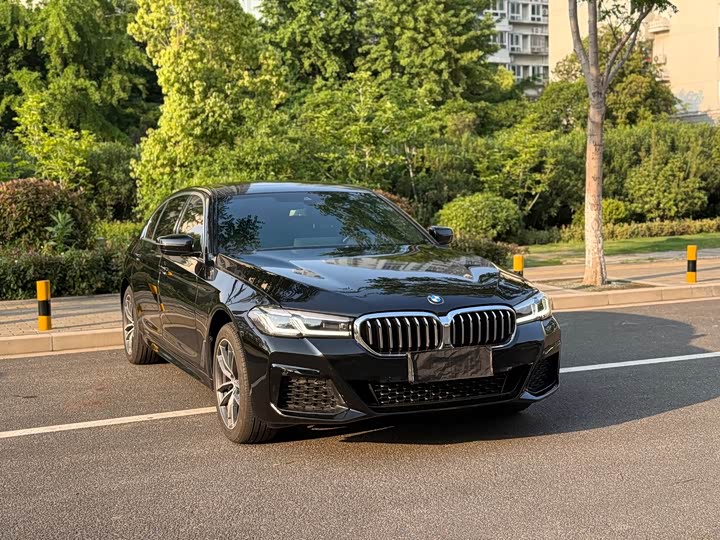 BMW 5 Series, 2022 — фото 3 из 9