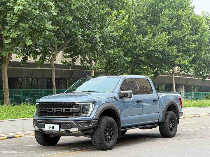 Ford F-150 Raptor, 2023 — фото 3 из 9