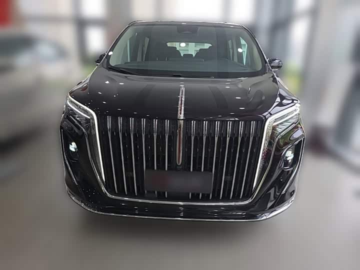 Hongqi HQ9 Hybrid, 2024 — фото 5 из 9