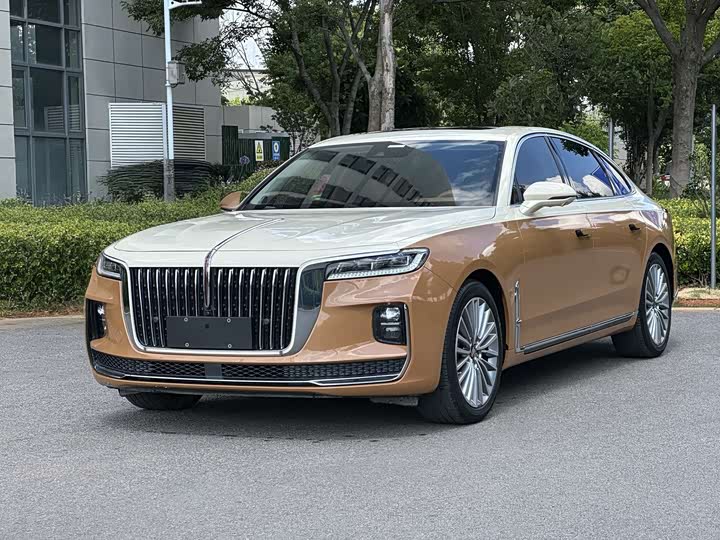 Hongqi H9, 2021 — купить в Перми под ключ