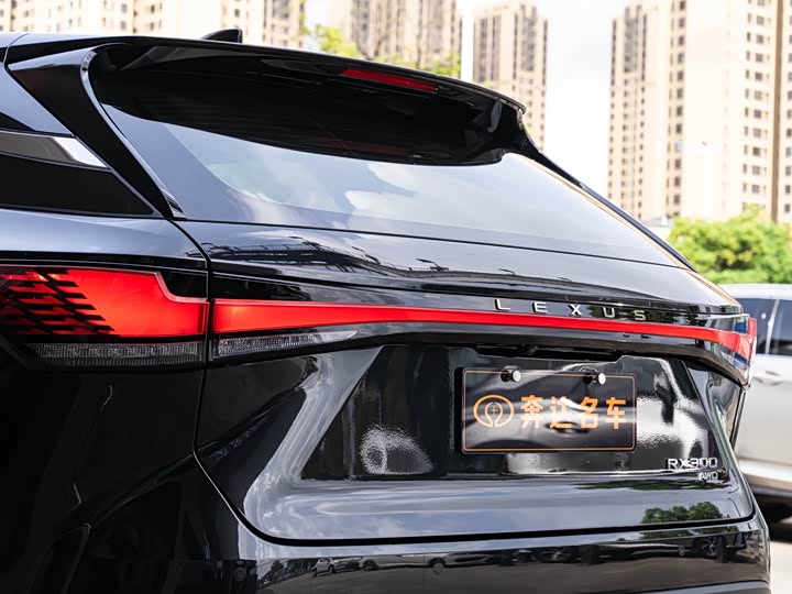 Lexus RX, 2024 — фото 7 из 9