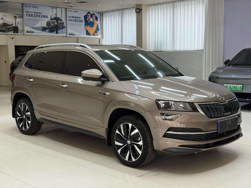 Skoda Karoq, 2023 — фото 3 из 12