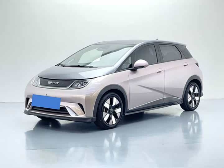 BYD Dolphin, 2021 — купить в Тамбове под ключ