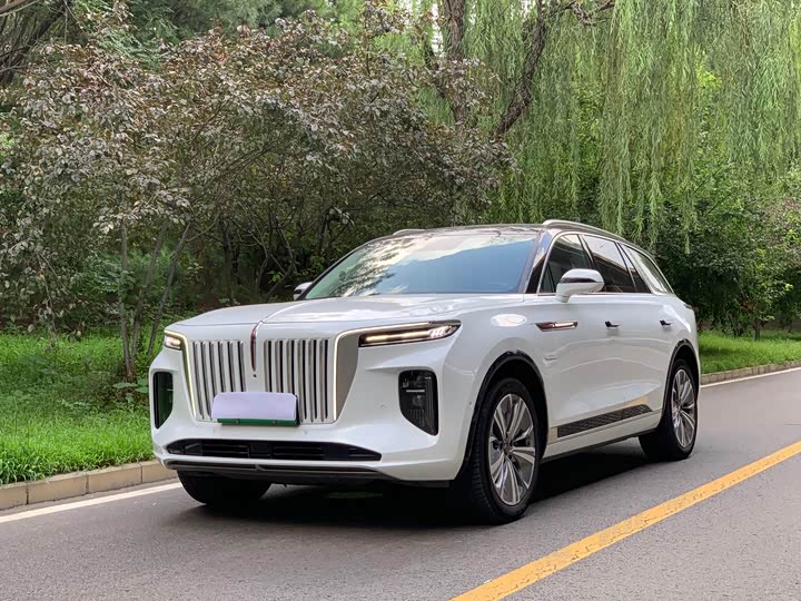Hongqi E-HS9, 2023 — купить в Туле под ключ