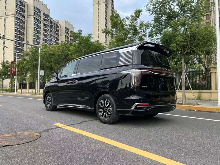 Hongqi HQ9 Hybrid, 2025 — фото 6 из 9