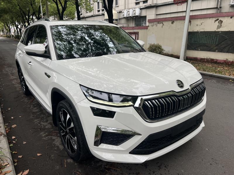 Skoda Kodiaq, 2021 — фото 2 из 12