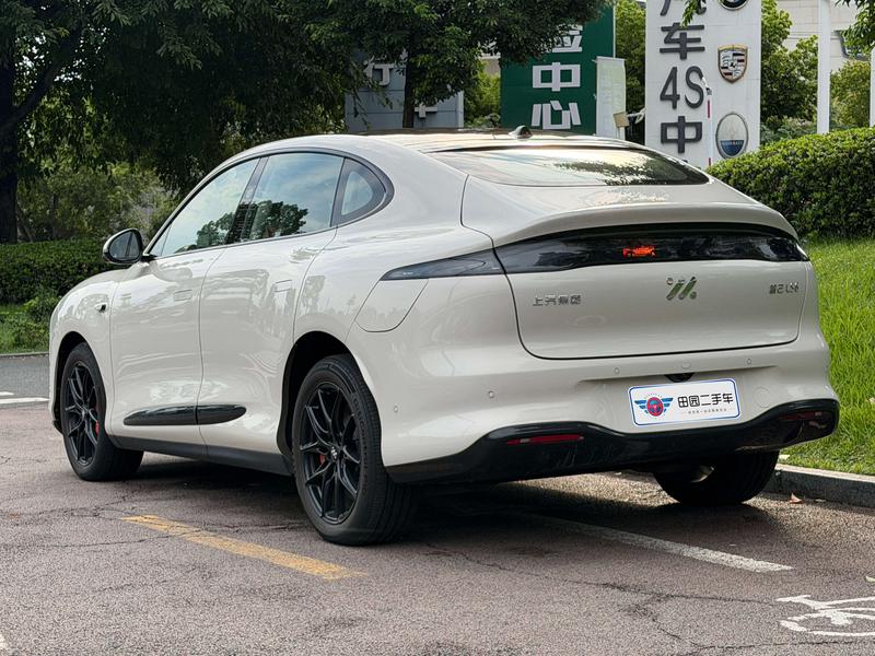IM motors LS6, 2025 — фото 4 из 12