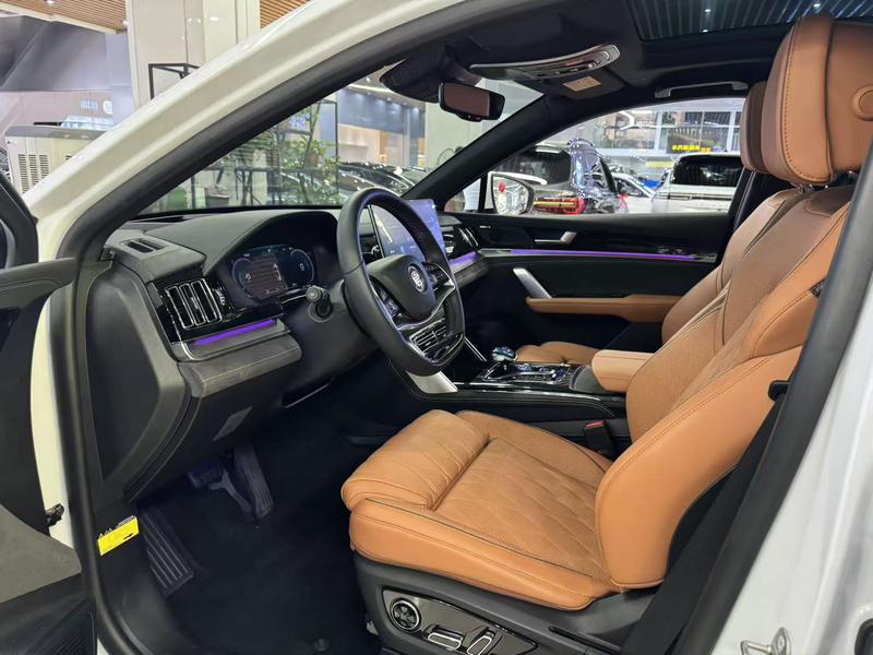 BYD Tang Hybrid/EV, 2023 — фото 9 из 12