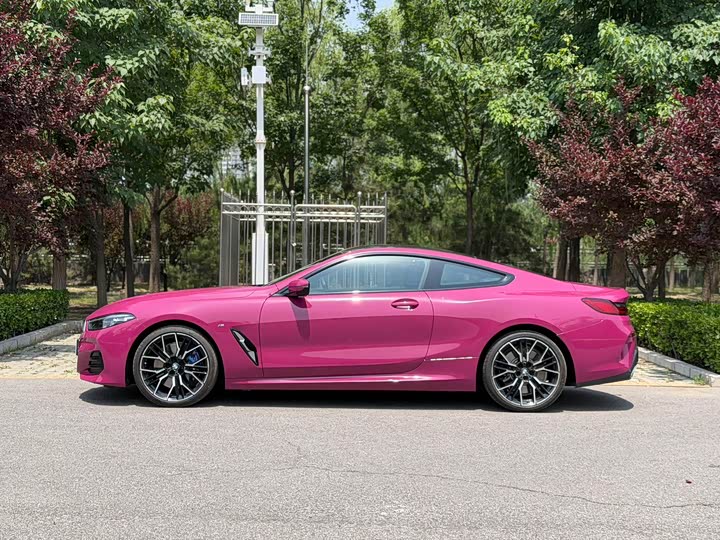 BMW 8 Series, 2025 — фото 2 из 9