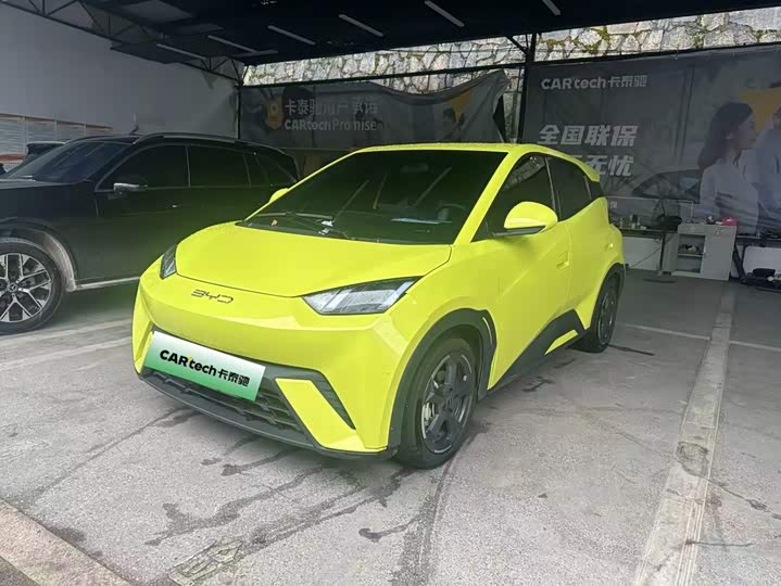 BYD Seagull, 2023 — купить в Оренбурге под ключ
