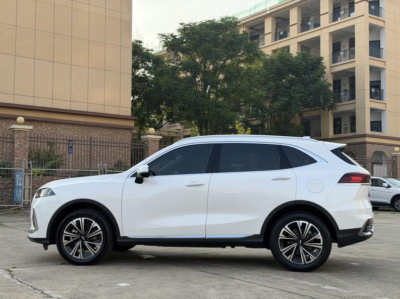Wey Latte DHT Hybrid, 2022 — фото 4 из 12