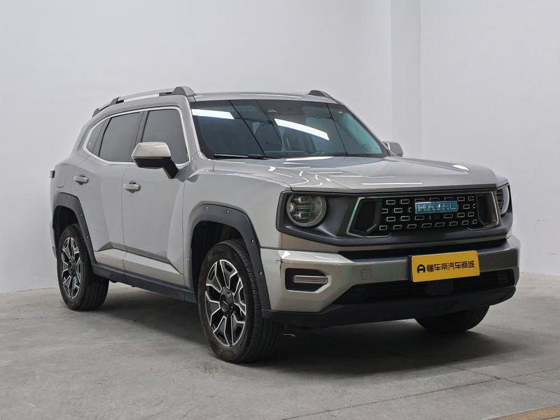 Haval H-Dog Hybrid, 2024 — фото 3 из 12