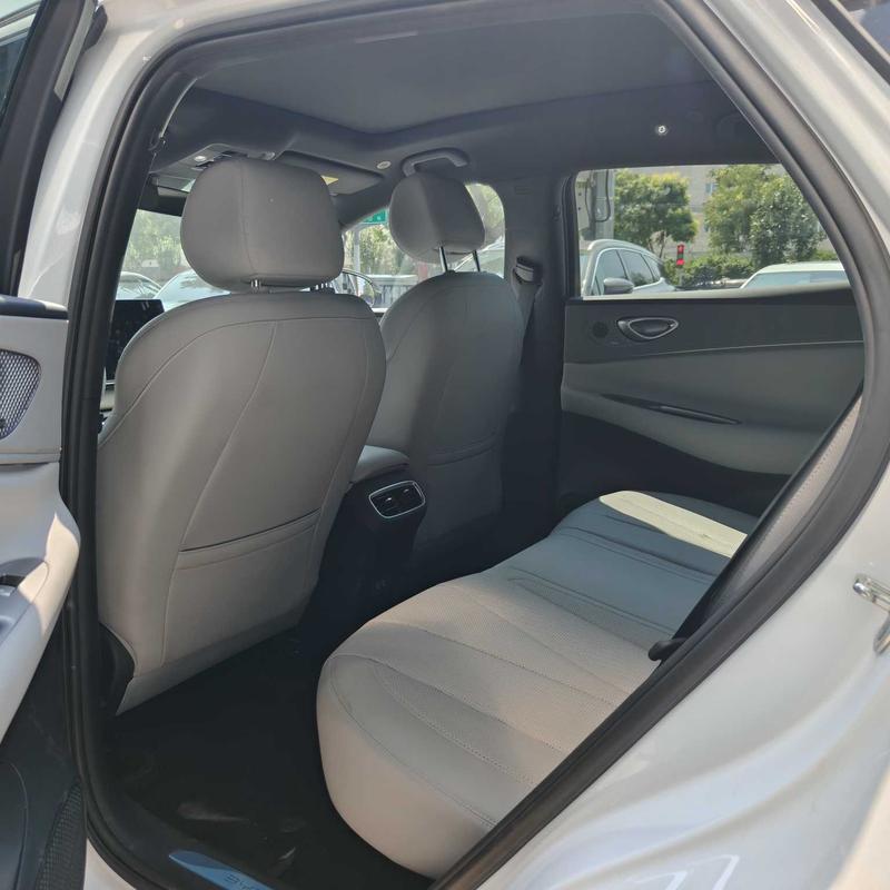BYD Sea Lion 06 Hybrid/EV, 2025 — фото 11 из 12