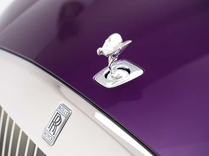 Rolls-Royce Spectre, 2024 — фото 5 из 9