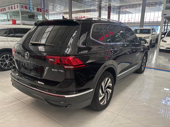 Volkswagen Tiguan L Pro, 2024 — фото 8 из 9
