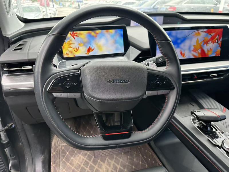 Changan Oshan Z6, 2022 — фото 7 из 10