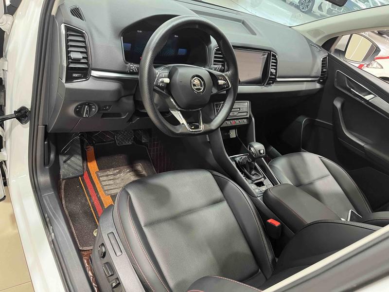 Skoda Karoq, 2023 — фото 8 из 10