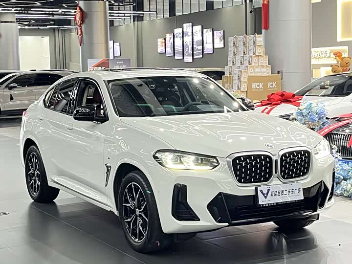 BMW X4, 2024 — фото 3 из 9