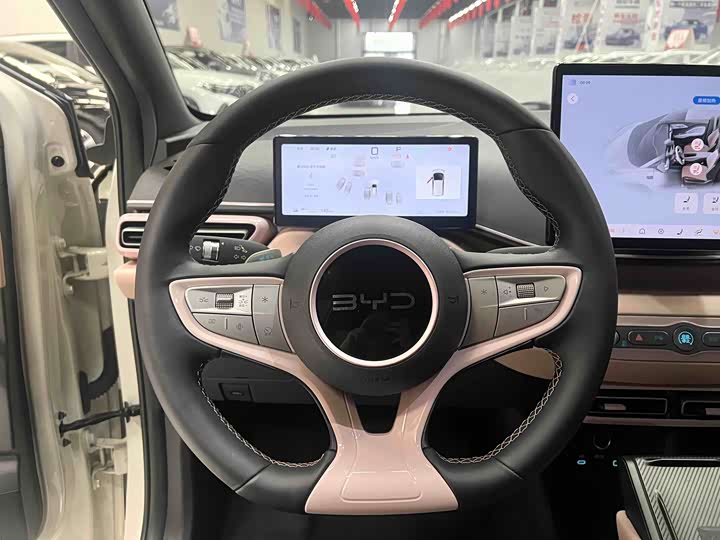 BYD Seagull, 2025 — фото 8 из 9