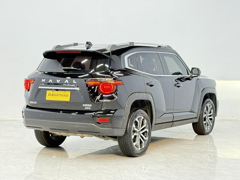 Haval H-Dog, 2023 — фото 7 из 12