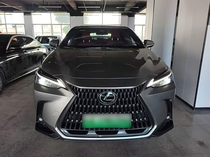 Lexus NX Hybrid, 2024 — фото 3 из 9