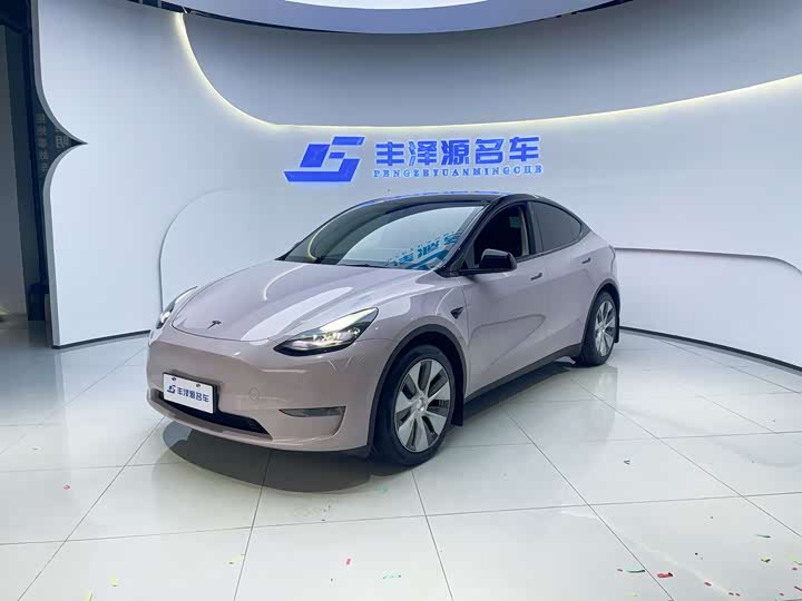 Tesla Model Y, 2021 — купить в Йошкар-Оле под ключ