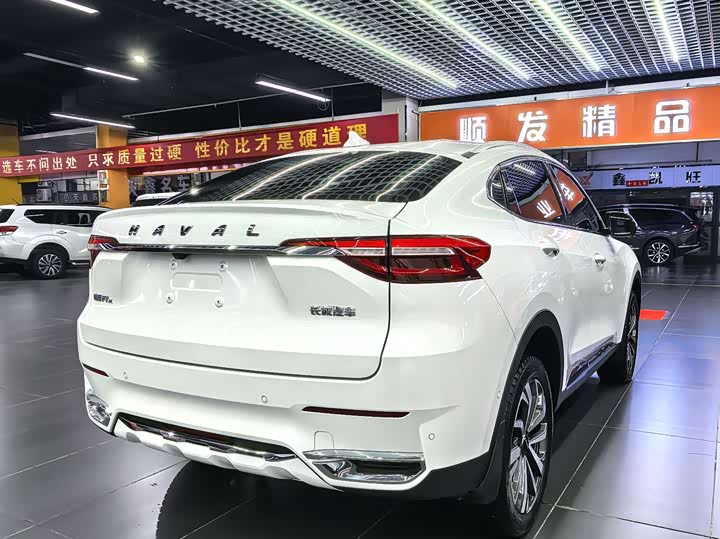 Haval F7x, 2021 — фото 4 из 9