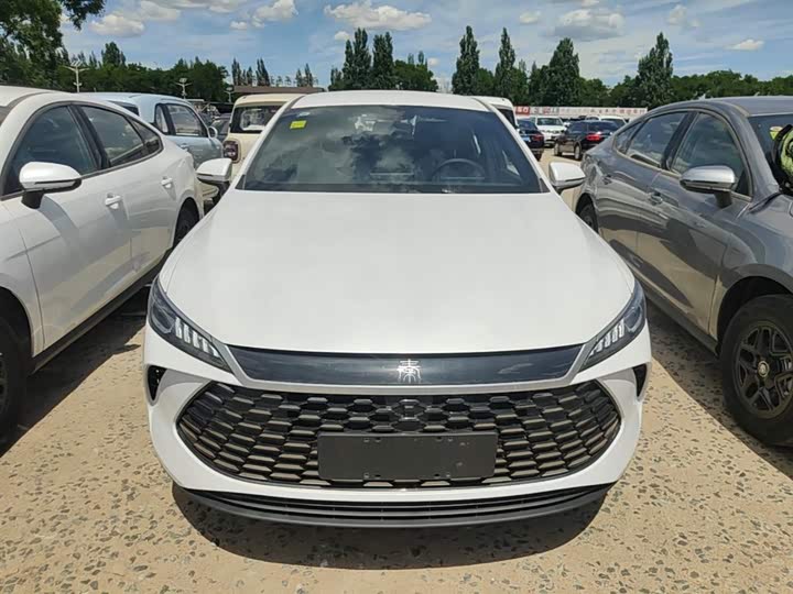 BYD Qin Plus, 2026 — фото 3 из 9