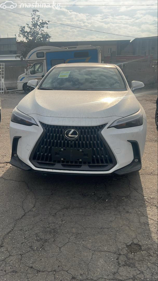 Lexus NX, 2025