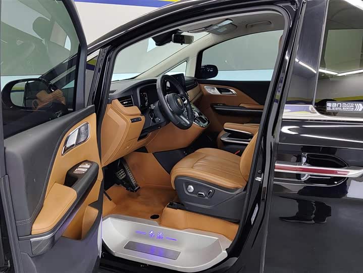 Hongqi HQ9 Hybrid, 2024 — фото 9 из 9