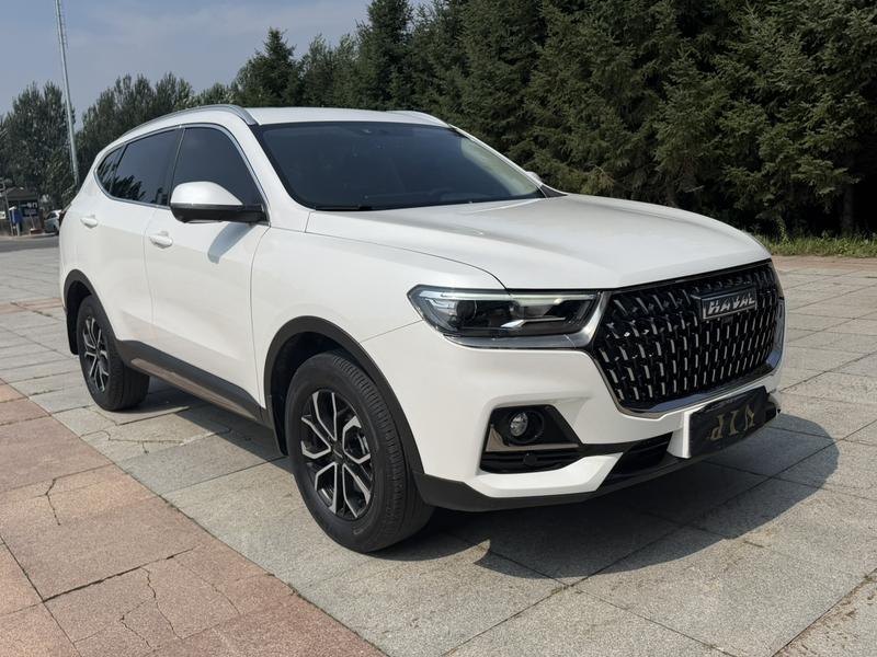 Haval H6, 2023 — фото 3 из 12