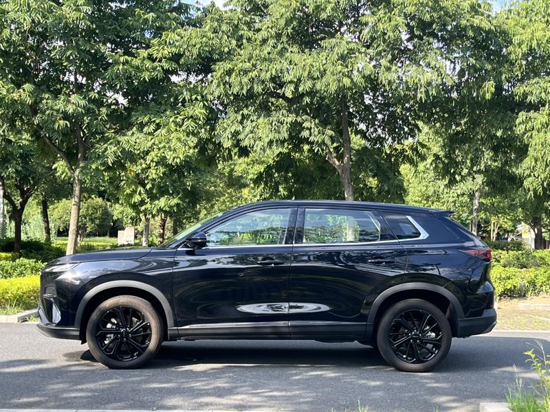 Dongfeng Aeolus Huge, 2025 — фото 4 из 12