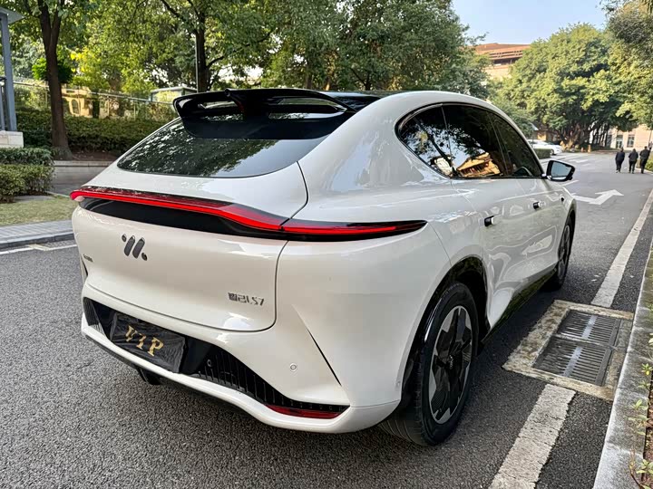 IM motors LS7, 2023 — фото 7 из 9