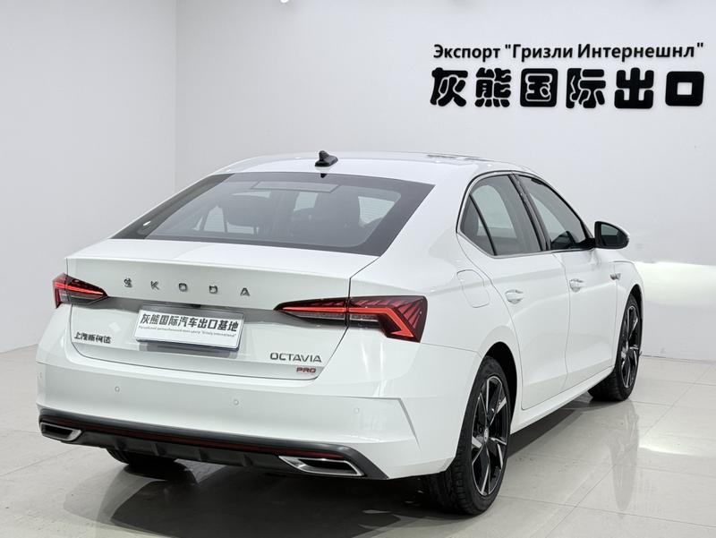 Skoda Octavia Pro, 2023 — фото 6 из 12