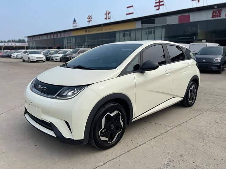 BYD Dolphin, 2022 — купить в Тамбове под ключ