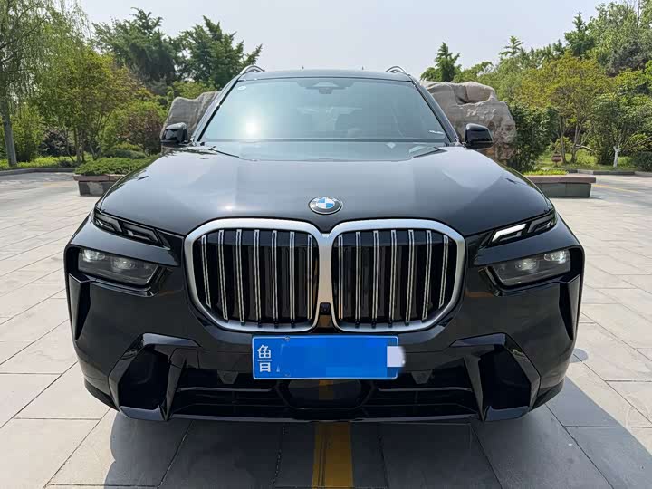 BMW X7, 2026 — фото 6 из 9