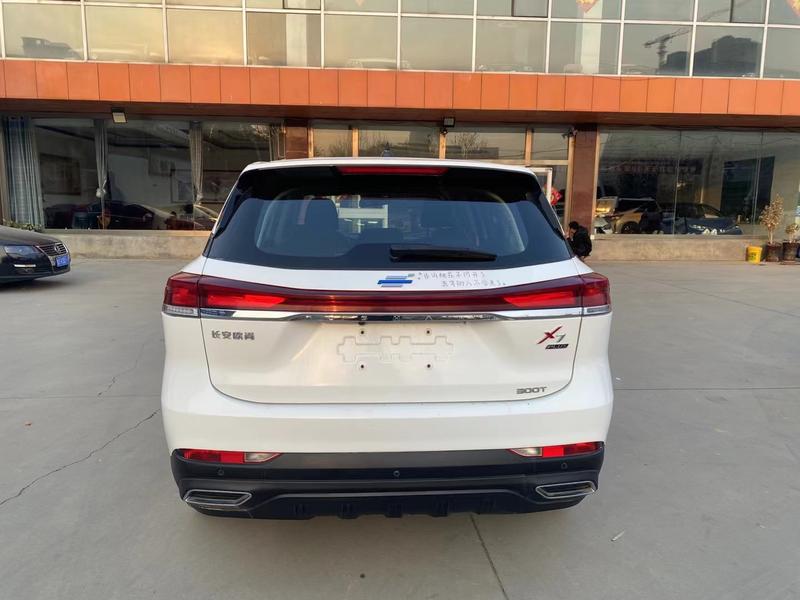 Changan Oshan X7 Plus, 2023 — фото 5 из 10