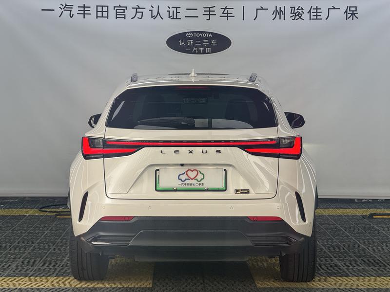 Lexus NX Hybrid, 2021 — фото 5 из 12