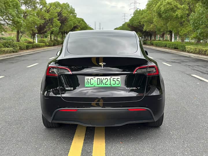 Tesla Model Y, 2022 — фото 8 из 9