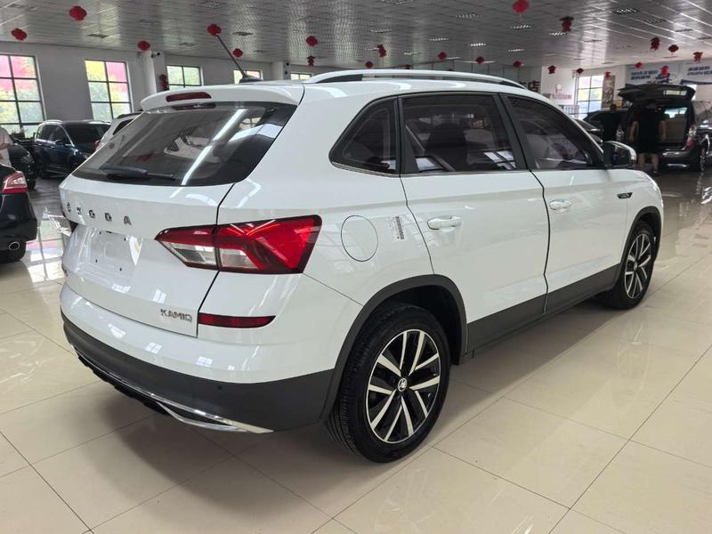 Skoda Kamiq, 2023 — фото 6 из 12