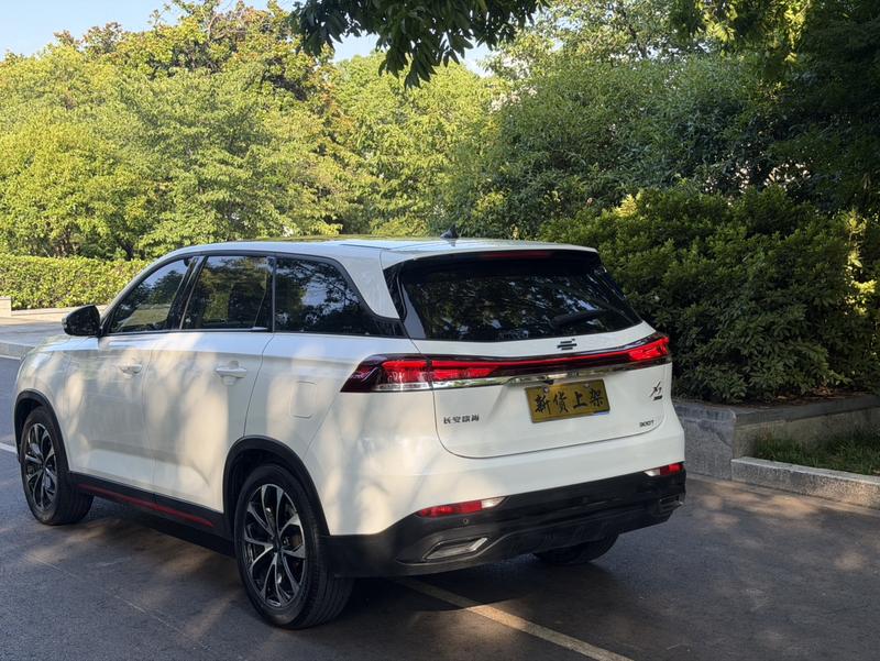 Changan Oshan X7 Plus, 2023 — фото 5 из 12
