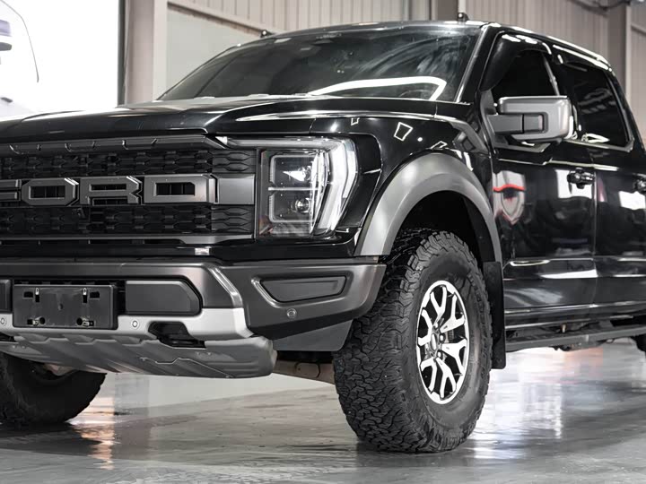Ford F-150 Raptor, 2023 — фото 3 из 9